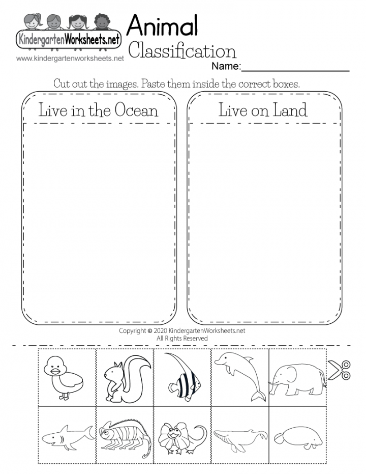 Animal Classification Worksheet - Free Printable, Digital, & PDF