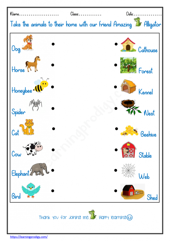 Animals Homes Pictures Worksheet for Grade One Science Worksheet