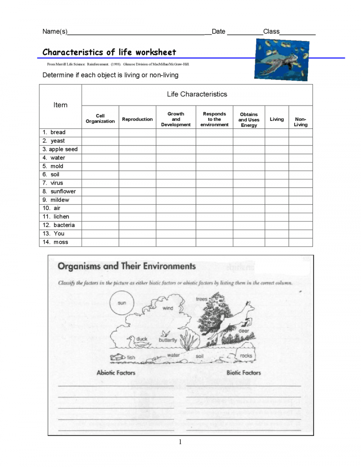 Characteristics of life worksheet  Lecture notes Life Sciences