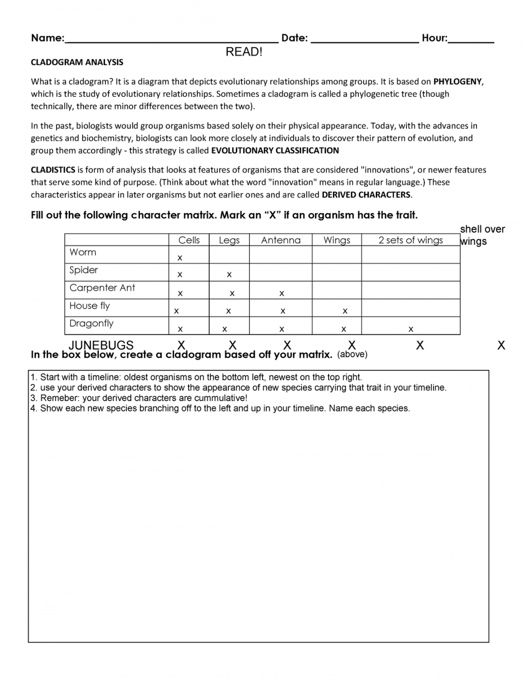 Cladogram Worksheet Practice KEY - Name: Date: - Studocu