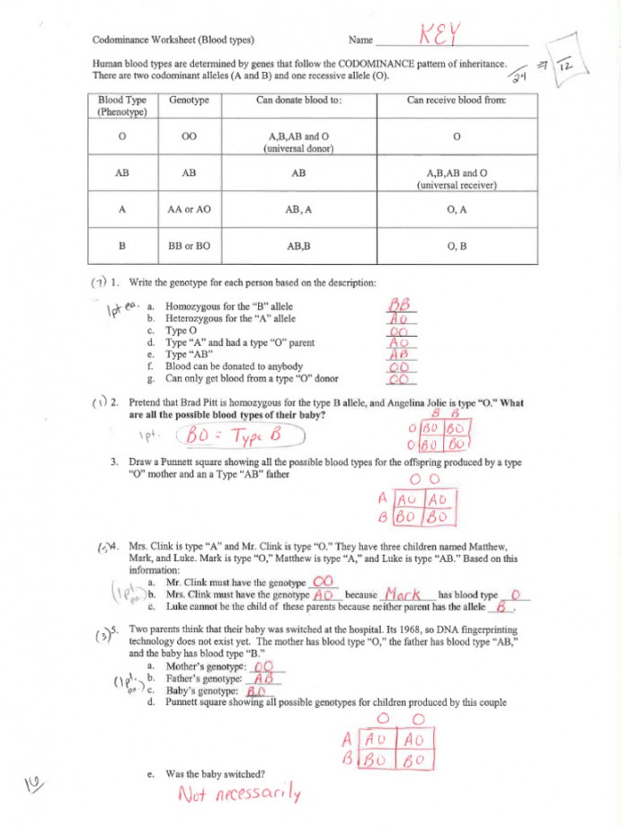 Codominance Worksheet Blood Types KEY  PDF