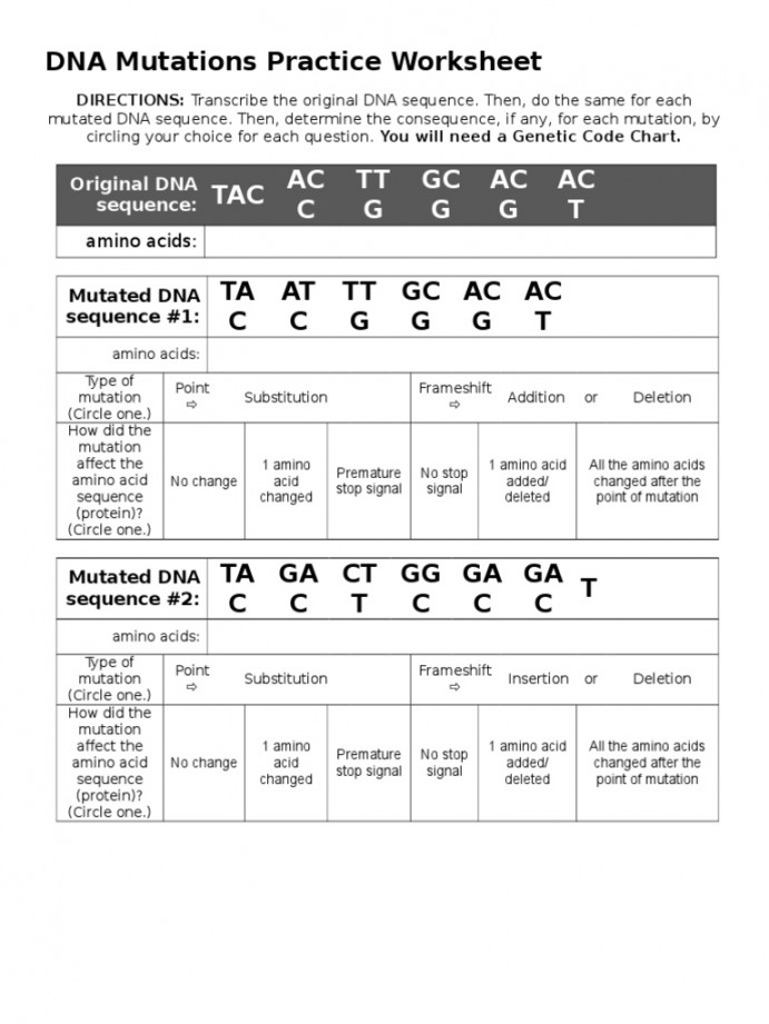 Dna Mutations Practice Worksheet  PDF  Point Mutation  Nucleic