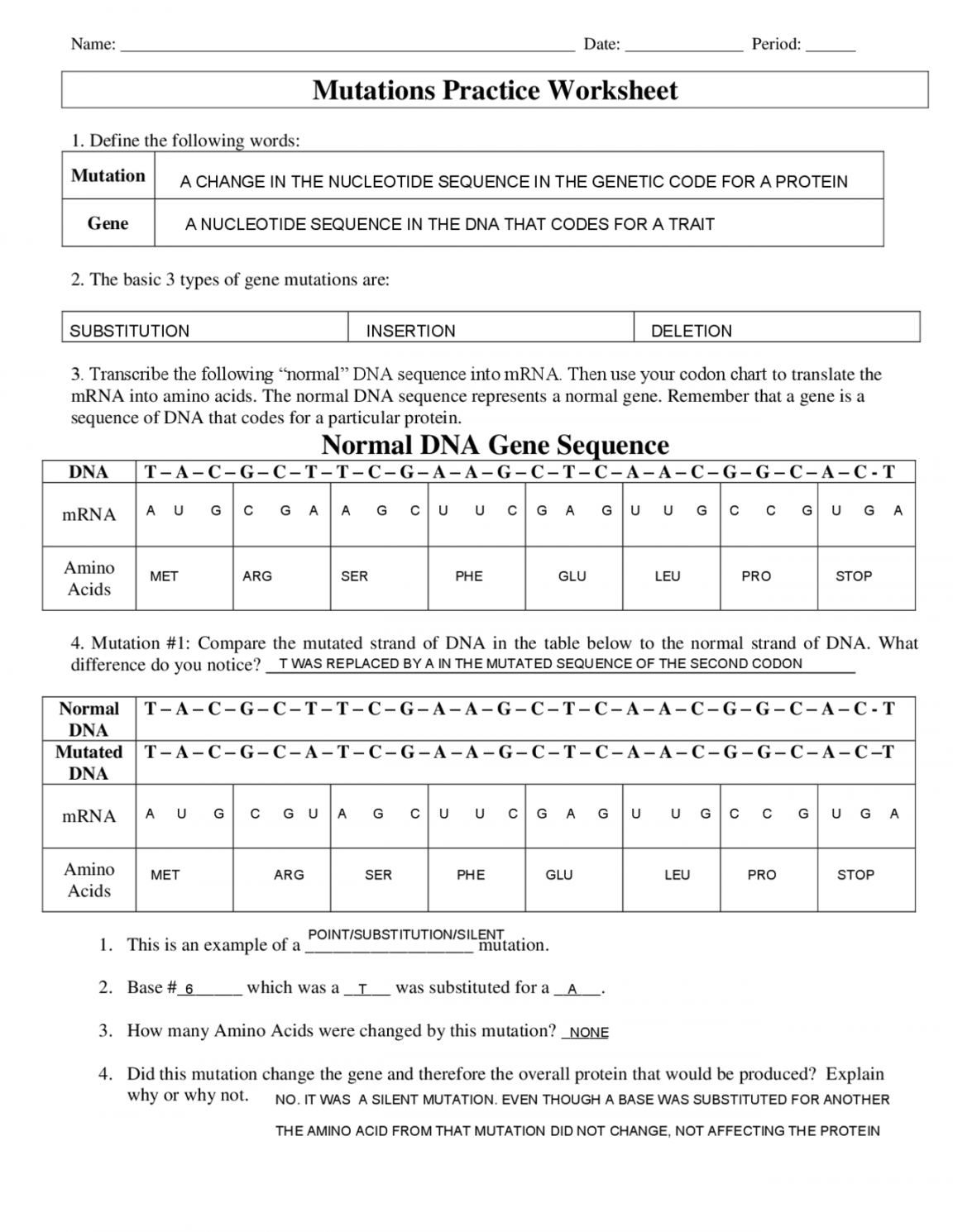 DNA Mutations Practice Worksheet with Answers  Exercises