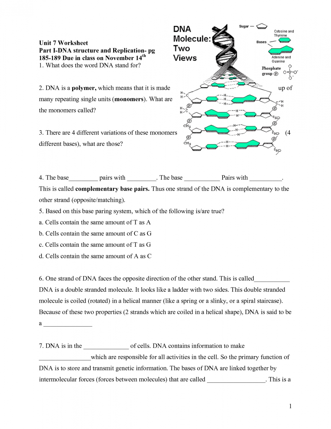 DNA Structure Worksheet Answer Key  Dna worksheet, Biology