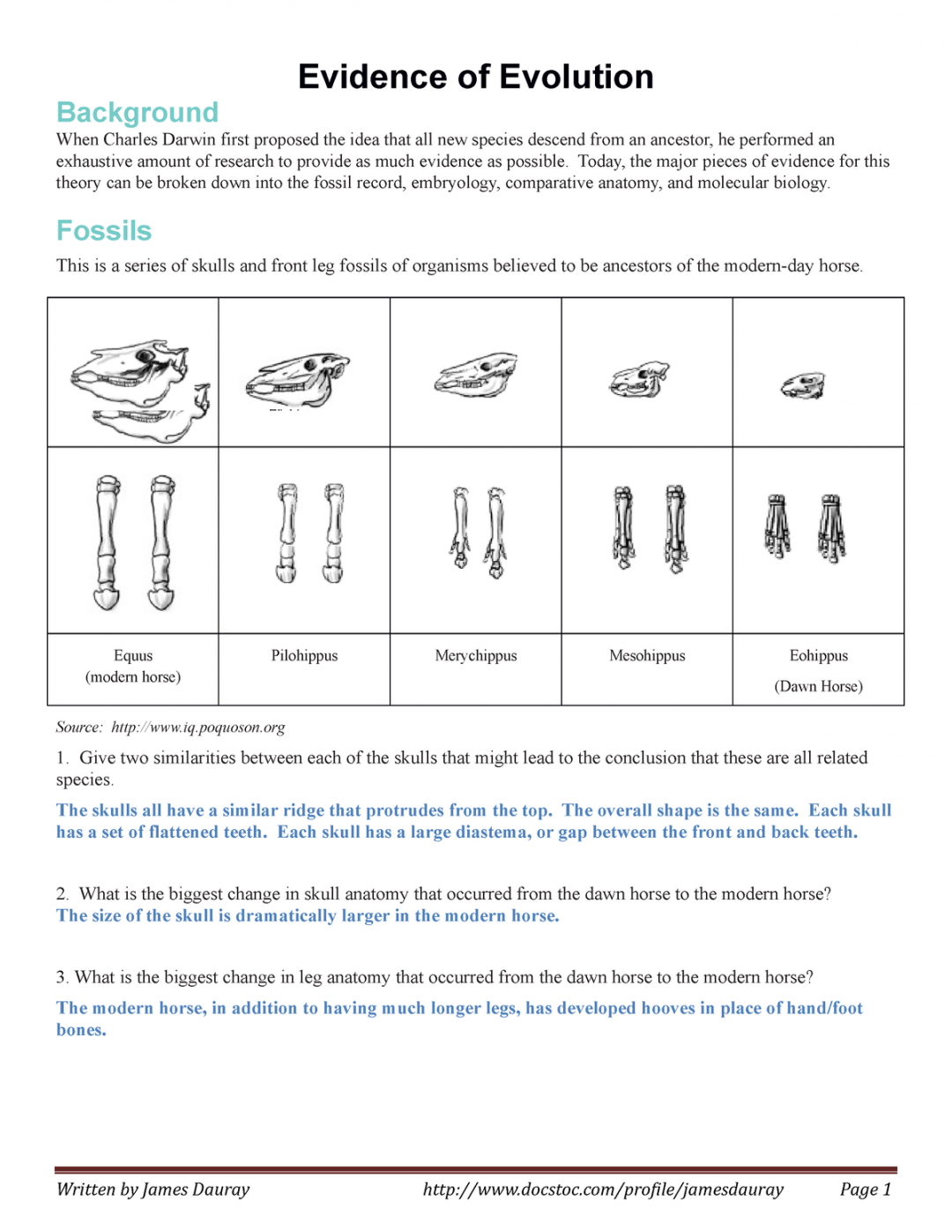 Evidence of Evolution Answer Key - Evidence of Evolution