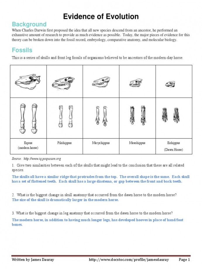 Evidence of Evolution Answer Key  PDF  Anatomy  Organisms