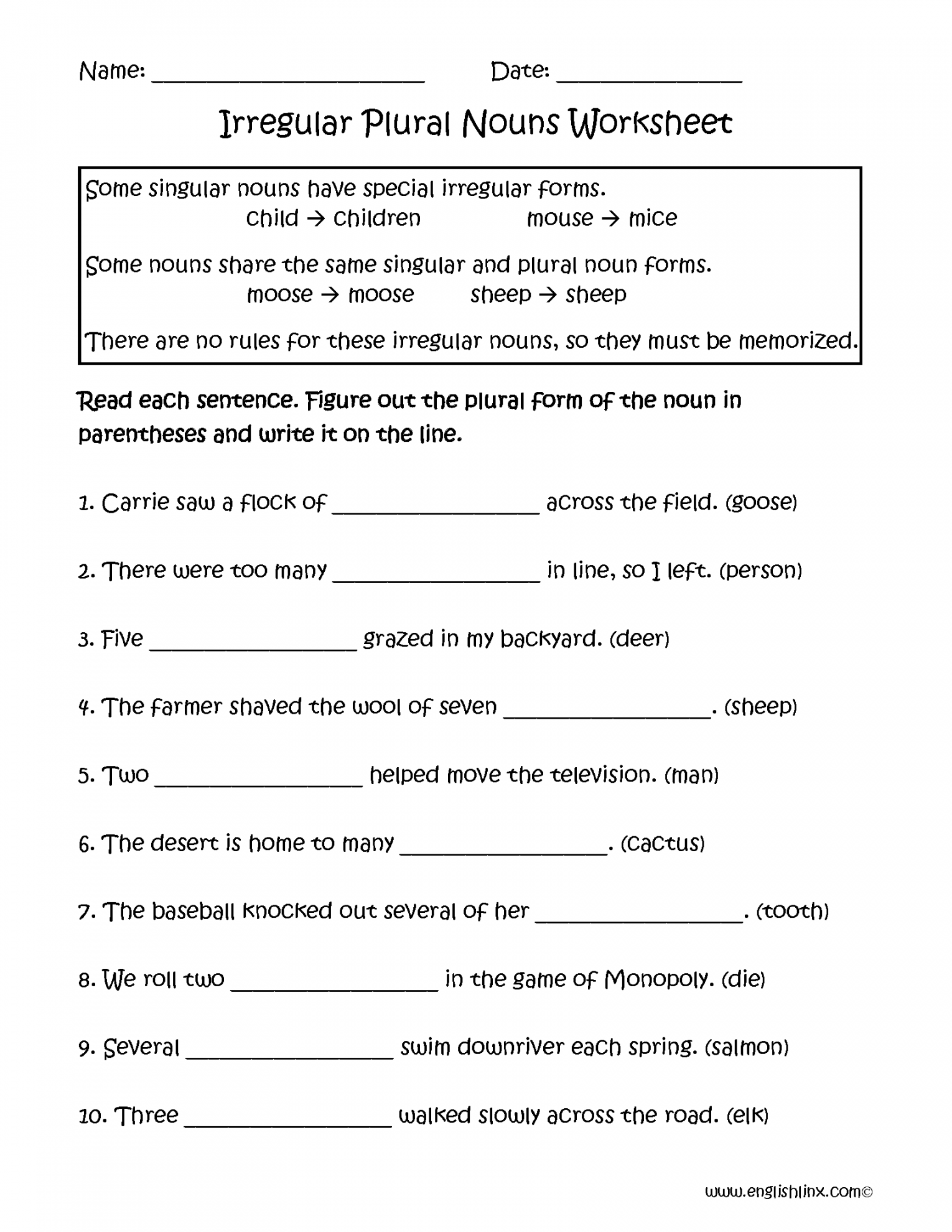 Irregular Nouns Worksheets  Irregular Plural Nouns Worksheets