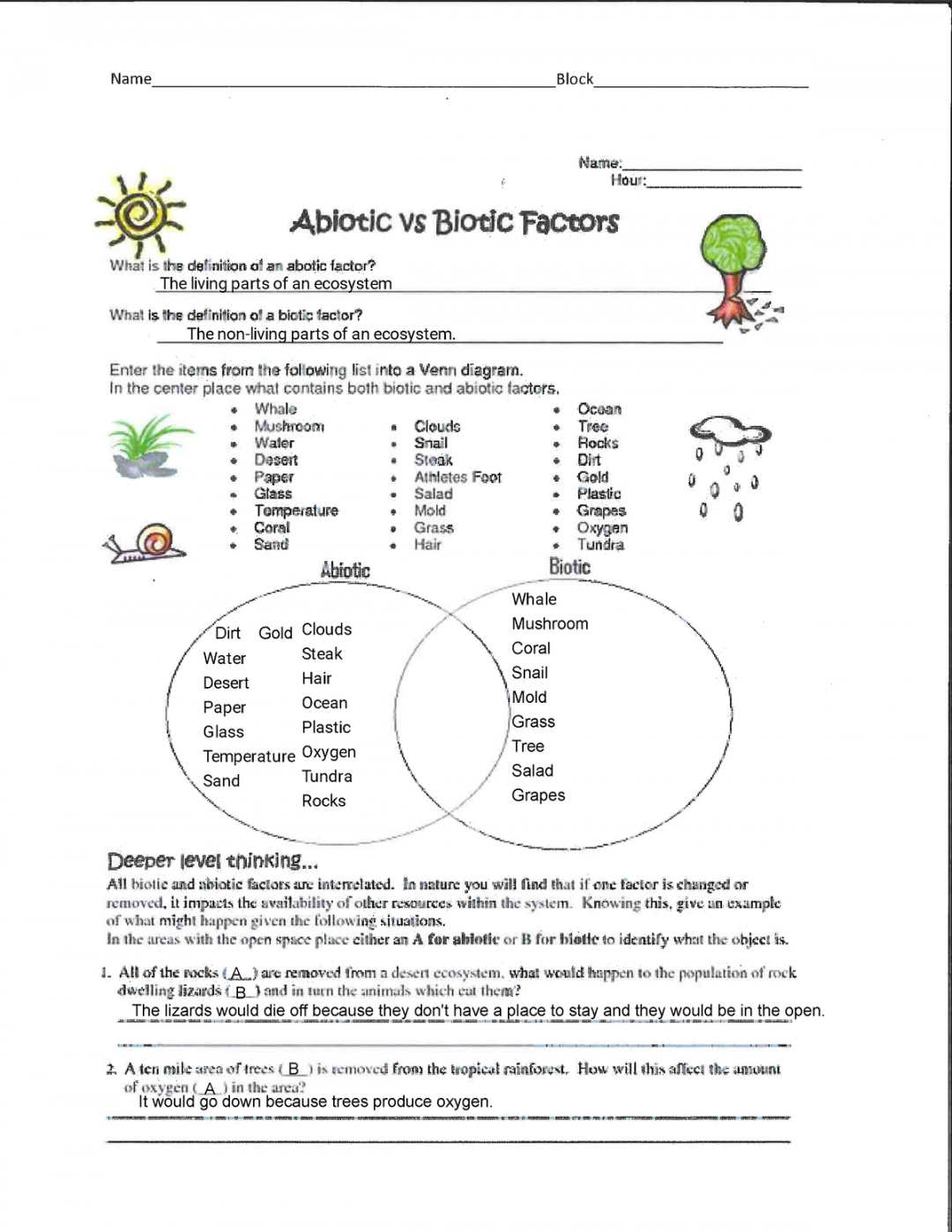 Kami Export - STU-Omri Haddad - Abiotic vs Biotic Factors Activity