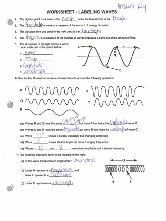 Labeling Waves Worksheet Answer Key  PDF