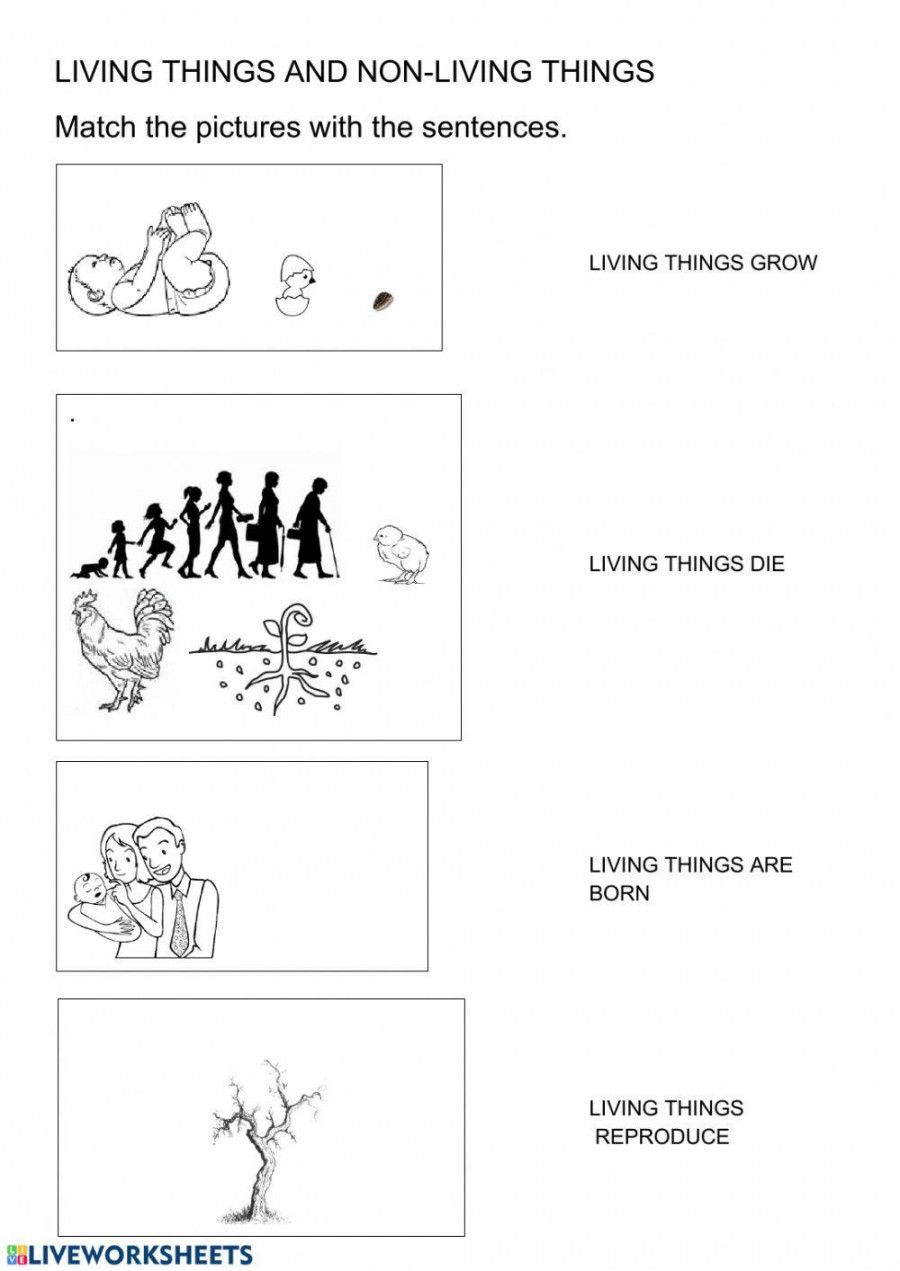 Living things: characteristics worksheet  Live Worksheets