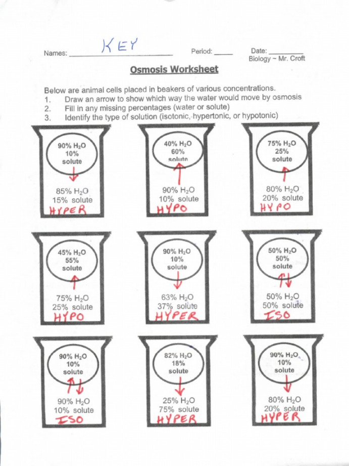 Osmosis Beaker Key  PDF  Osmosis  Cell Biology