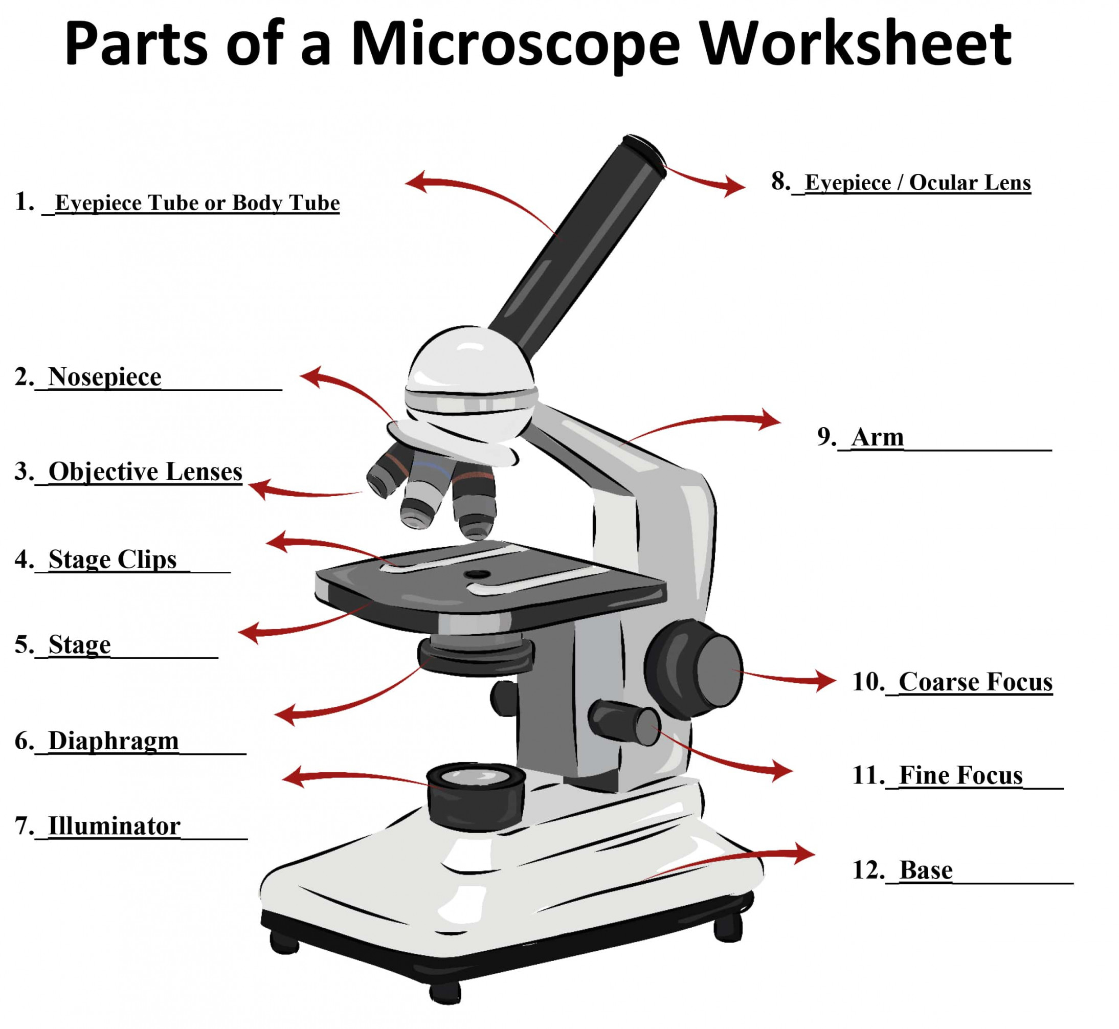 Parts of a Microscope - SmartSchool Systems