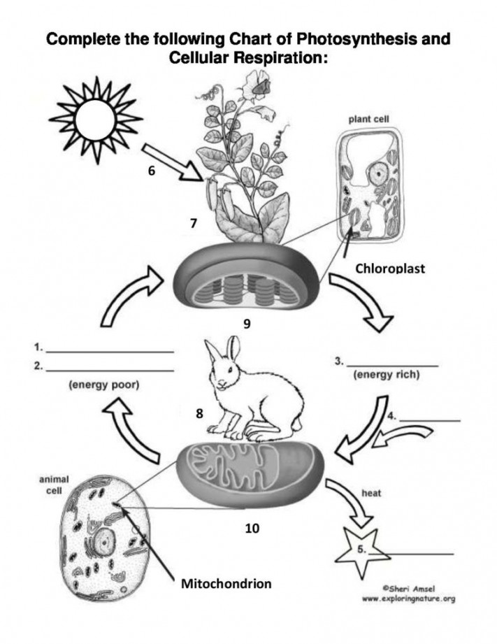 Pin on SNCD - Biology - Sustainable Ecosystems - Fall 207