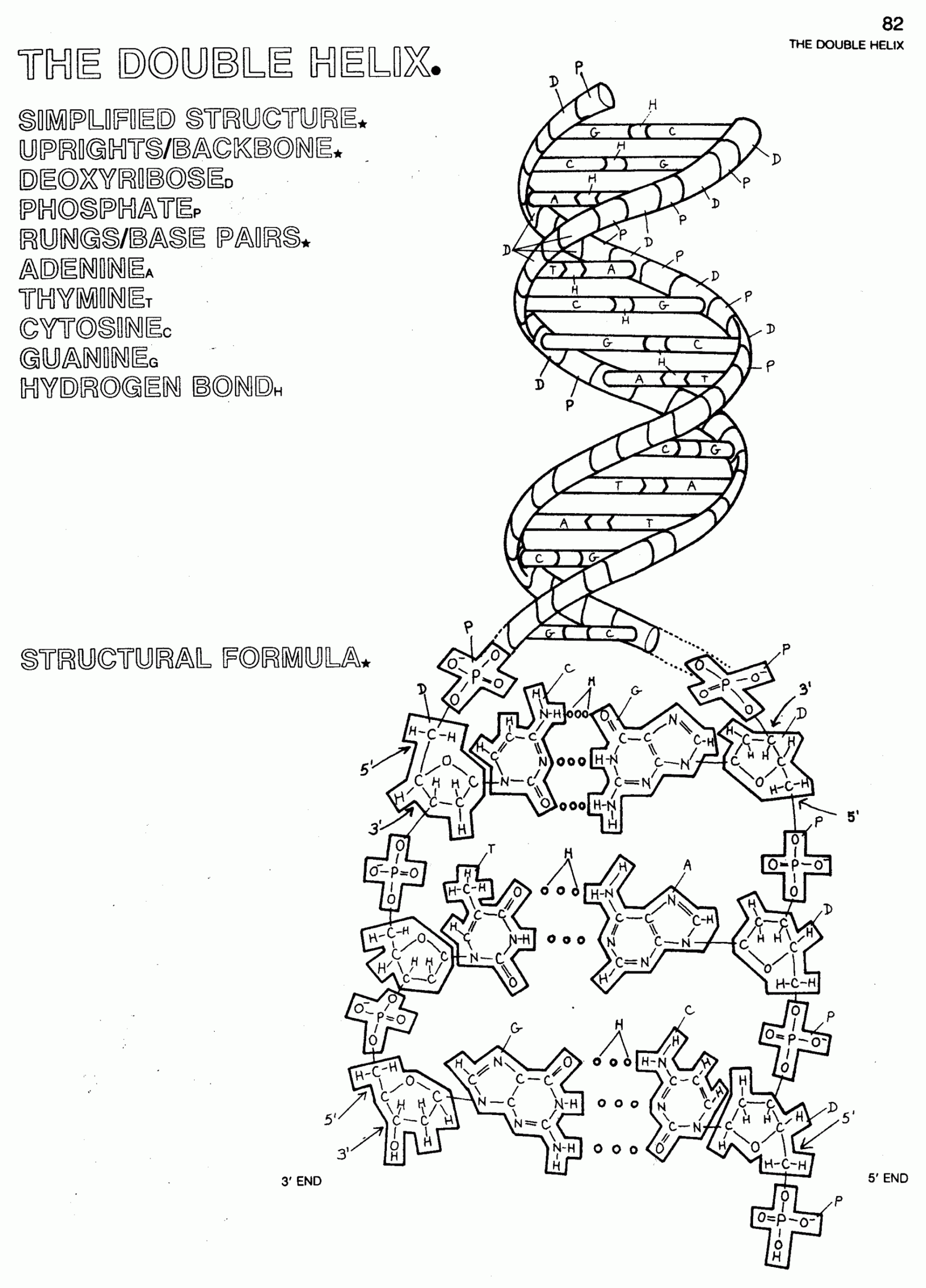 Pin on Student Worksheets