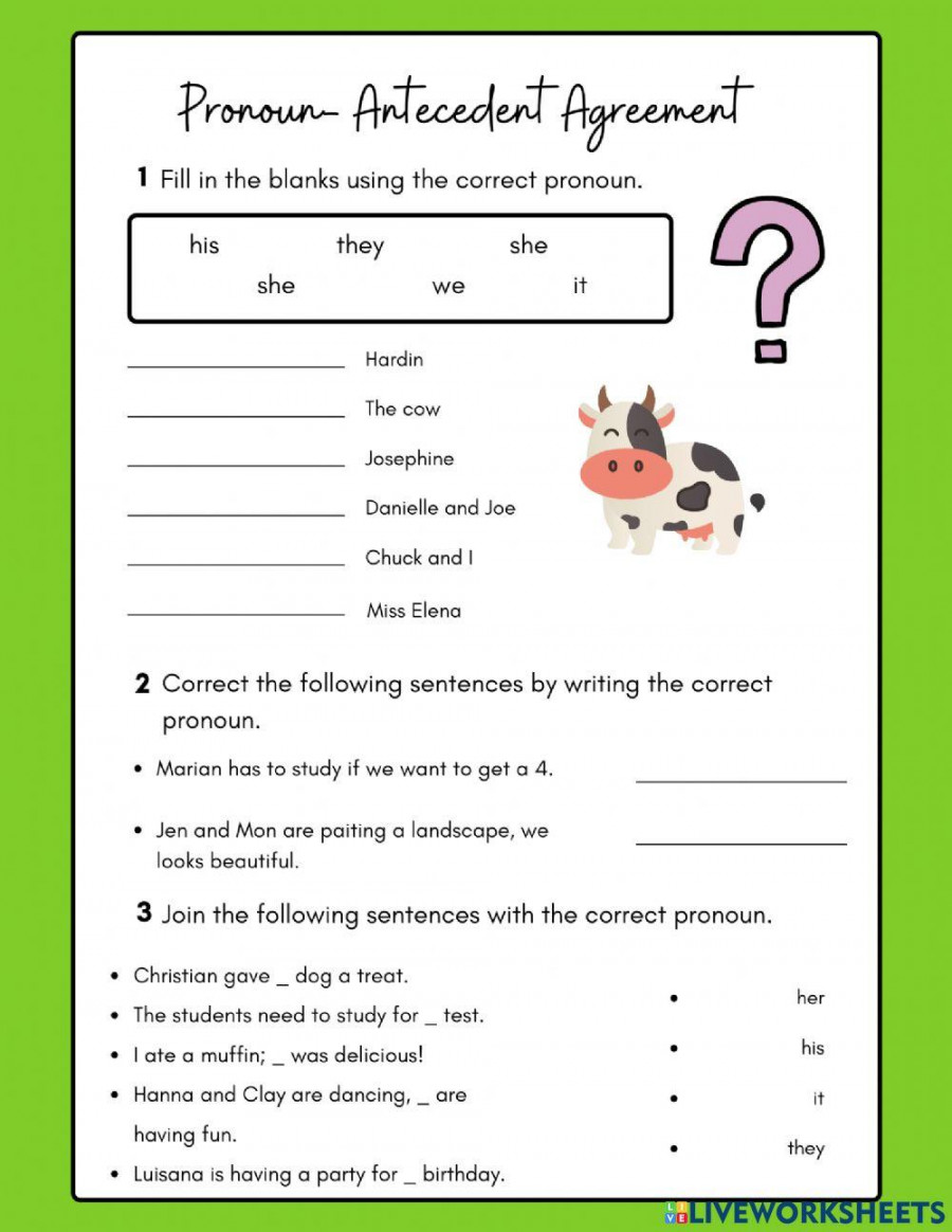 Pronoun Antecedent Agreement worksheet  Live Worksheets