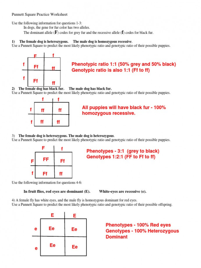 Punnett Square Practice Worksheet: ) The Female Dog Is