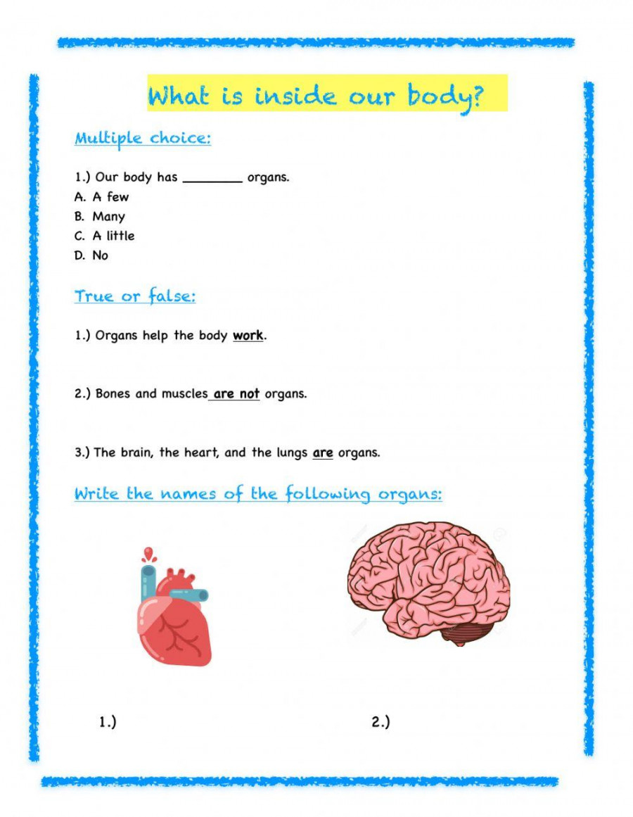 rd Grade Science Review worksheet  Live Worksheets