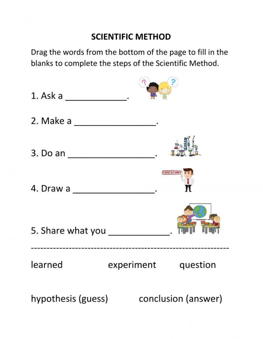 Scientific Method interactive worksheet  Live Worksheets