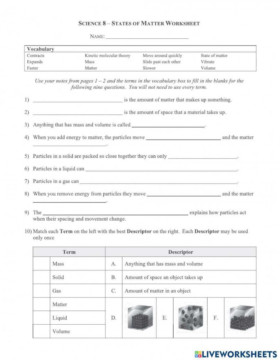 States of matter worksheet for   Live Worksheets