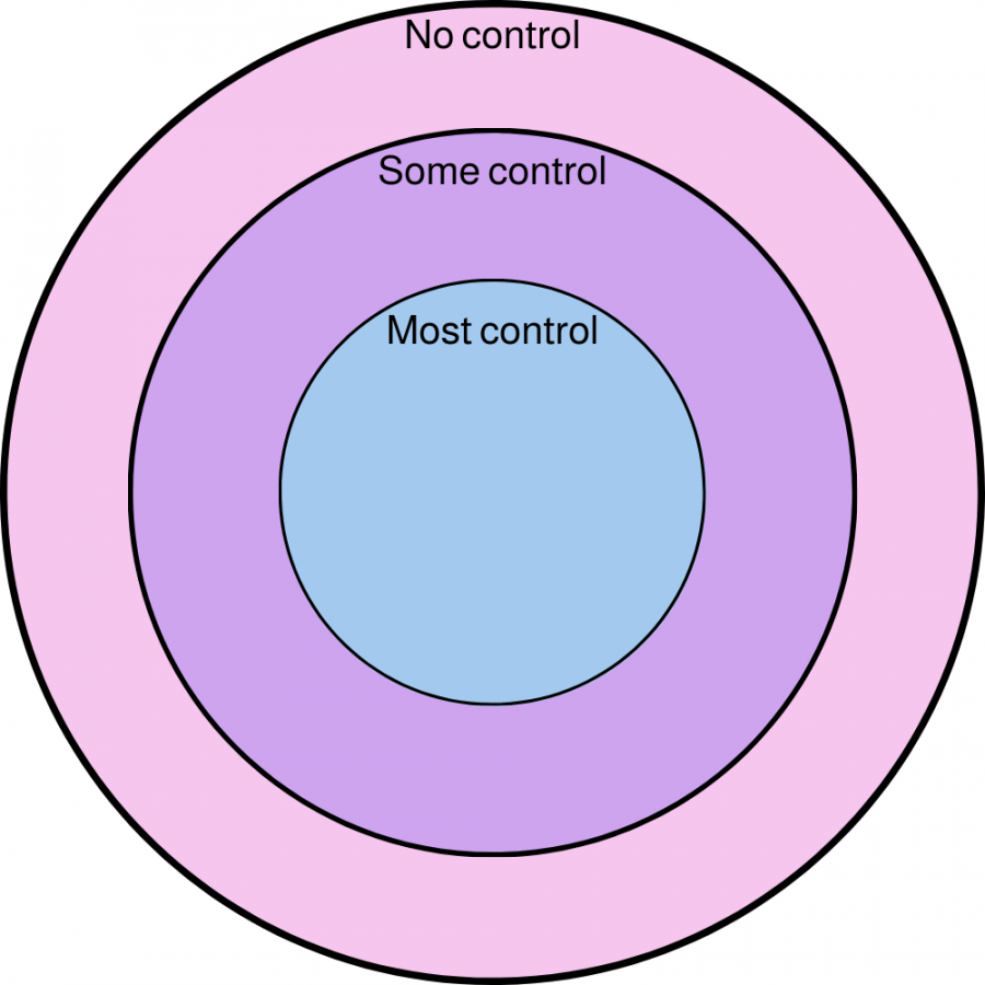 What Can I Control? (Free Worksheet!) — Miriam Mogilevsky, LISW