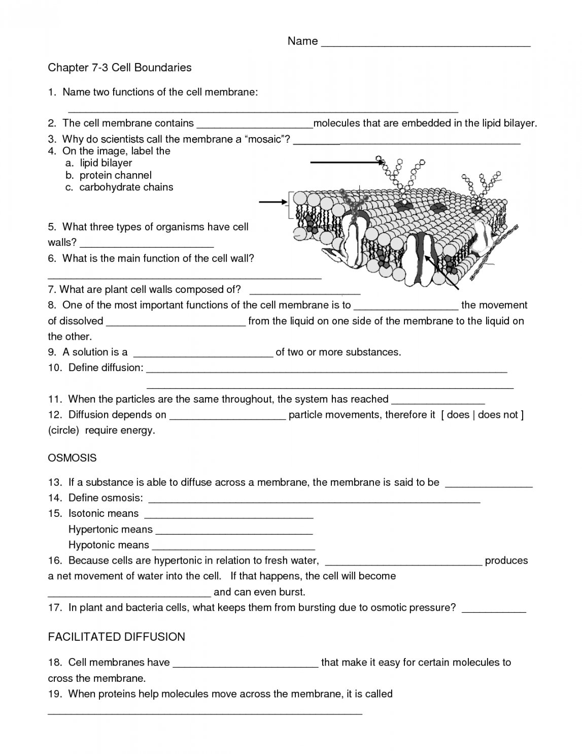 Biology Cell Worksheets  Biology worksheet, Cell biology, Cells