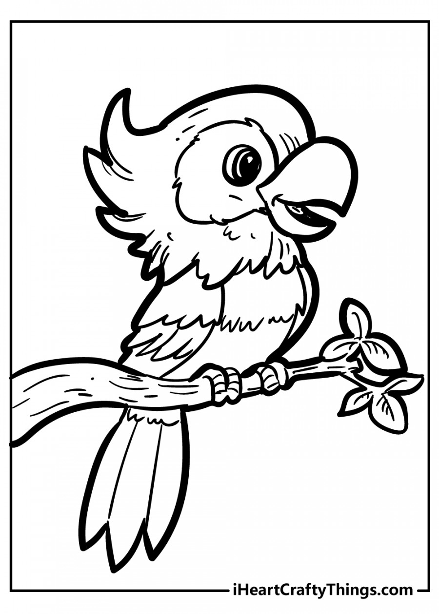 Bird Coloring Pages (% Free Printables)