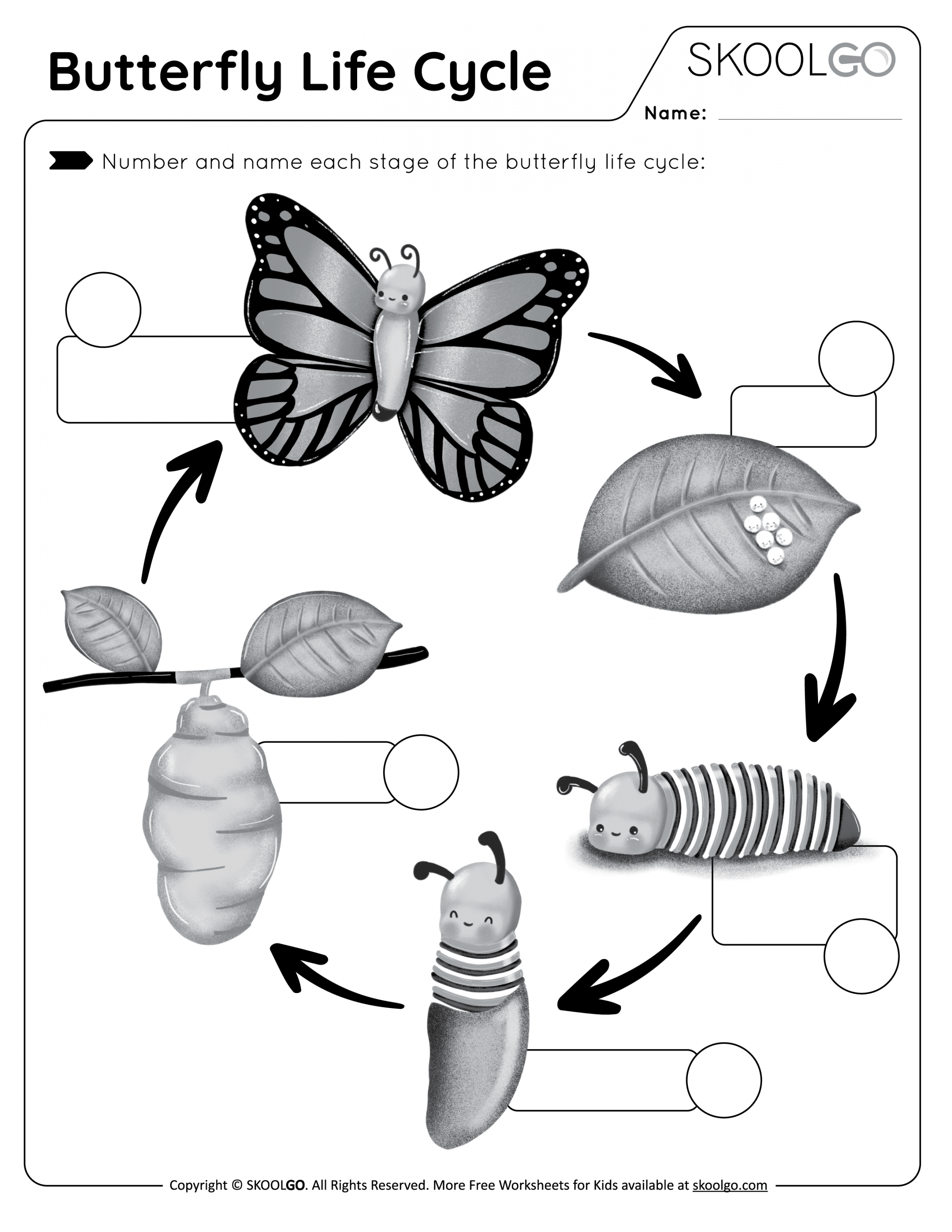 Butterfly Life Cycle - Free Worksheet - SKOOLGO