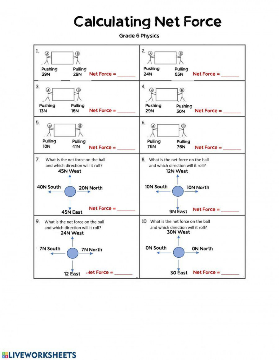 Calculating Net Force worksheet  Live Worksheets