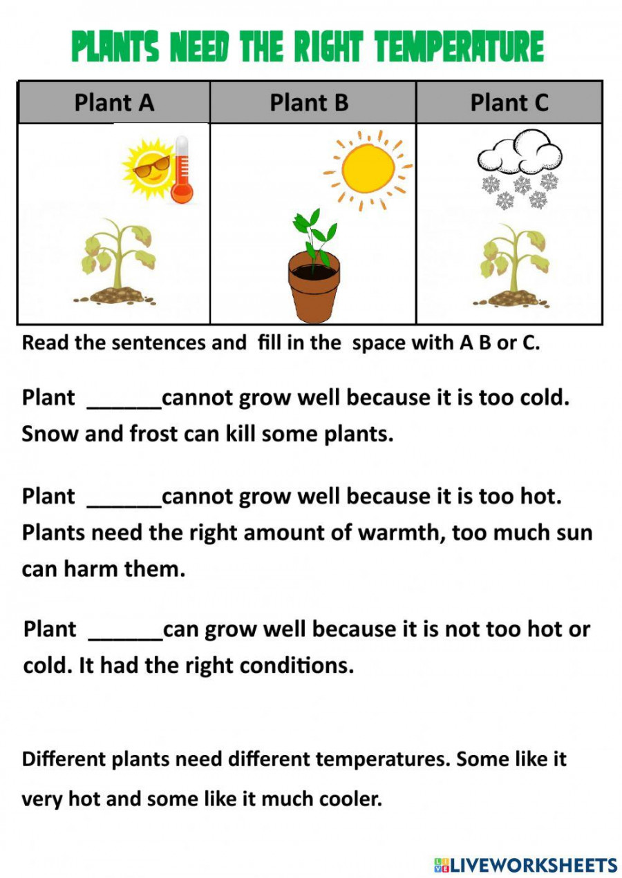 Cambridge Grade  Science Review  worksheet  Live Worksheets