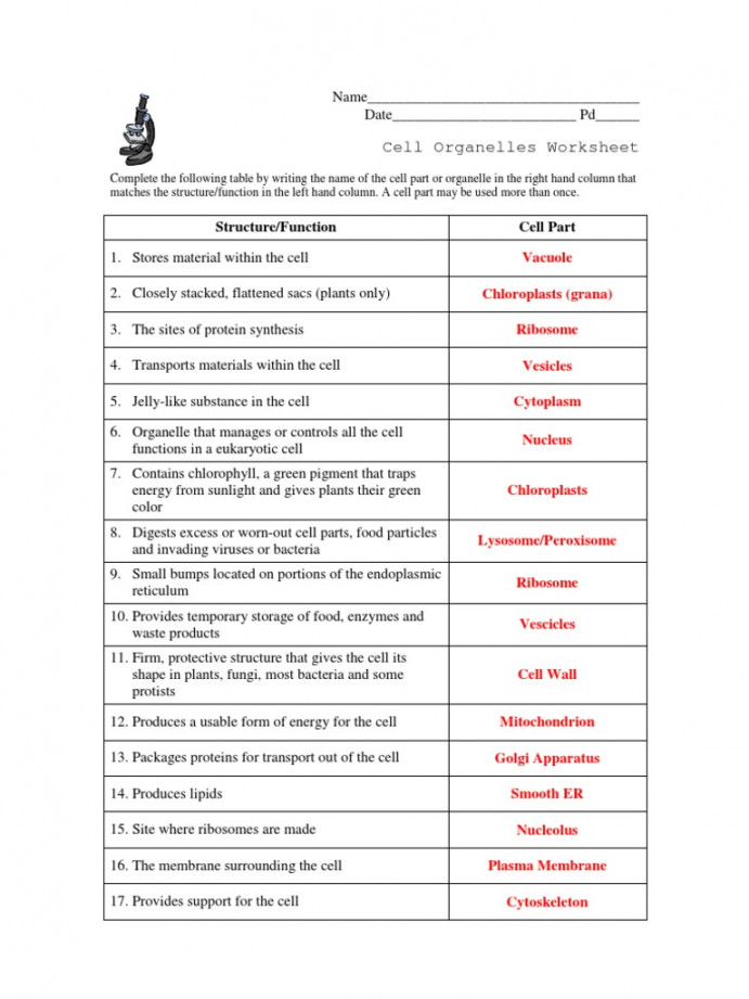 Cell Organelles Worksheet KEY  PDF  Cell (Biology)  Cell Membrane