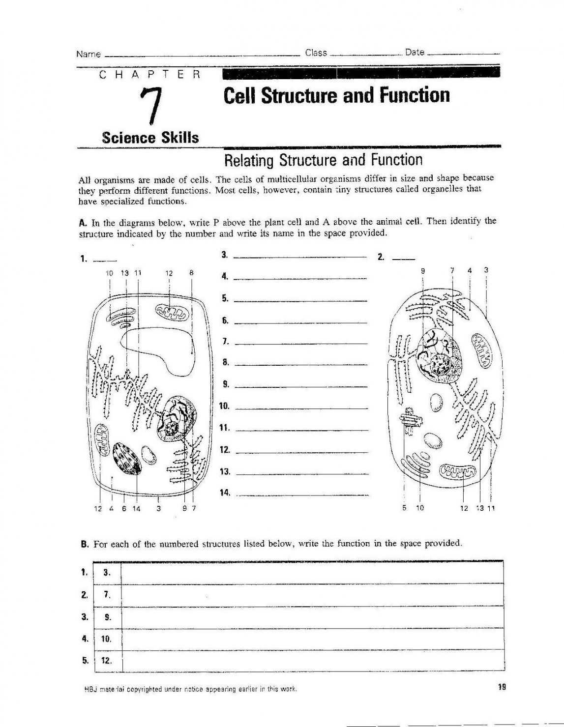 Cells worksheet, Biology worksheet, Cell structure