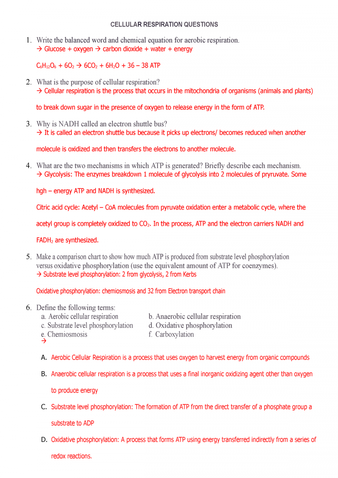 Cellular respiration worksheet-converted - CELLULAR RESPIRATION