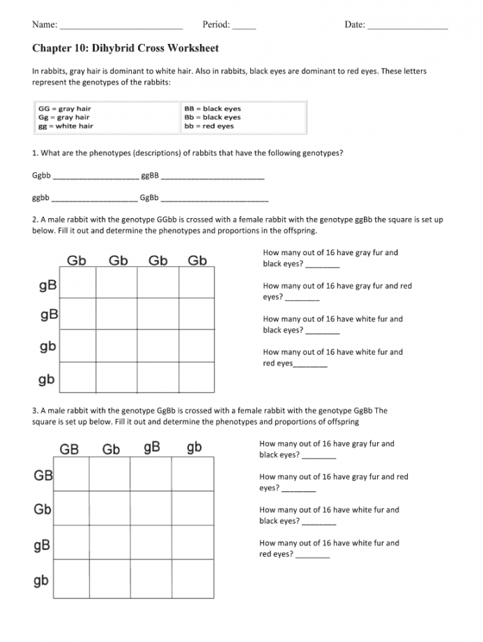 Chapter  dihybrid cross worksheet answer key pdf: Fill out