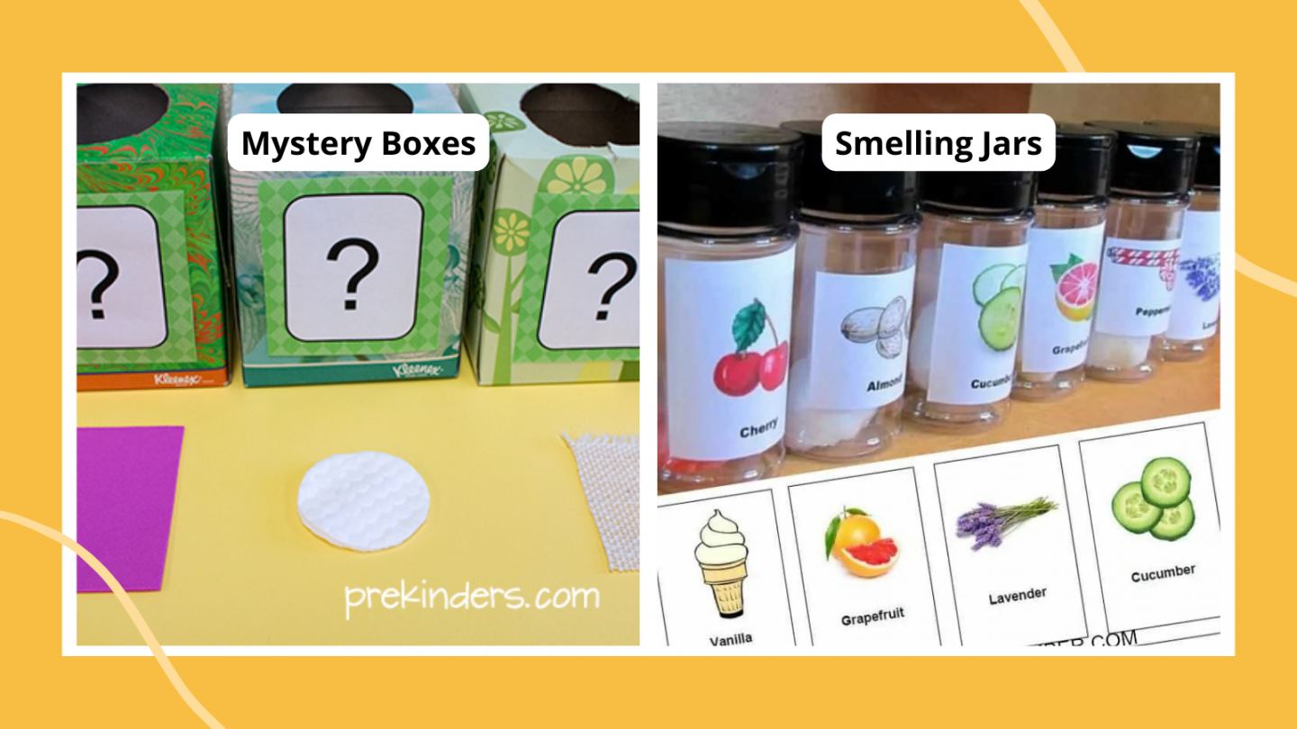 Engaging Five Senses Activities Young Learners Love