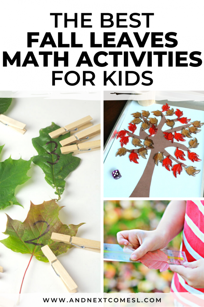 Fall Math Activities for Kids Using Leaves  And Next Comes L