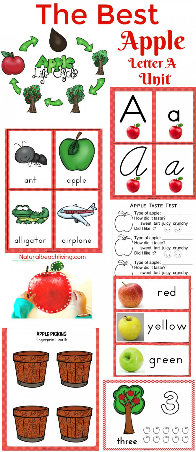 + Free Apple Printables for Preschool and Kindergarten - Natural