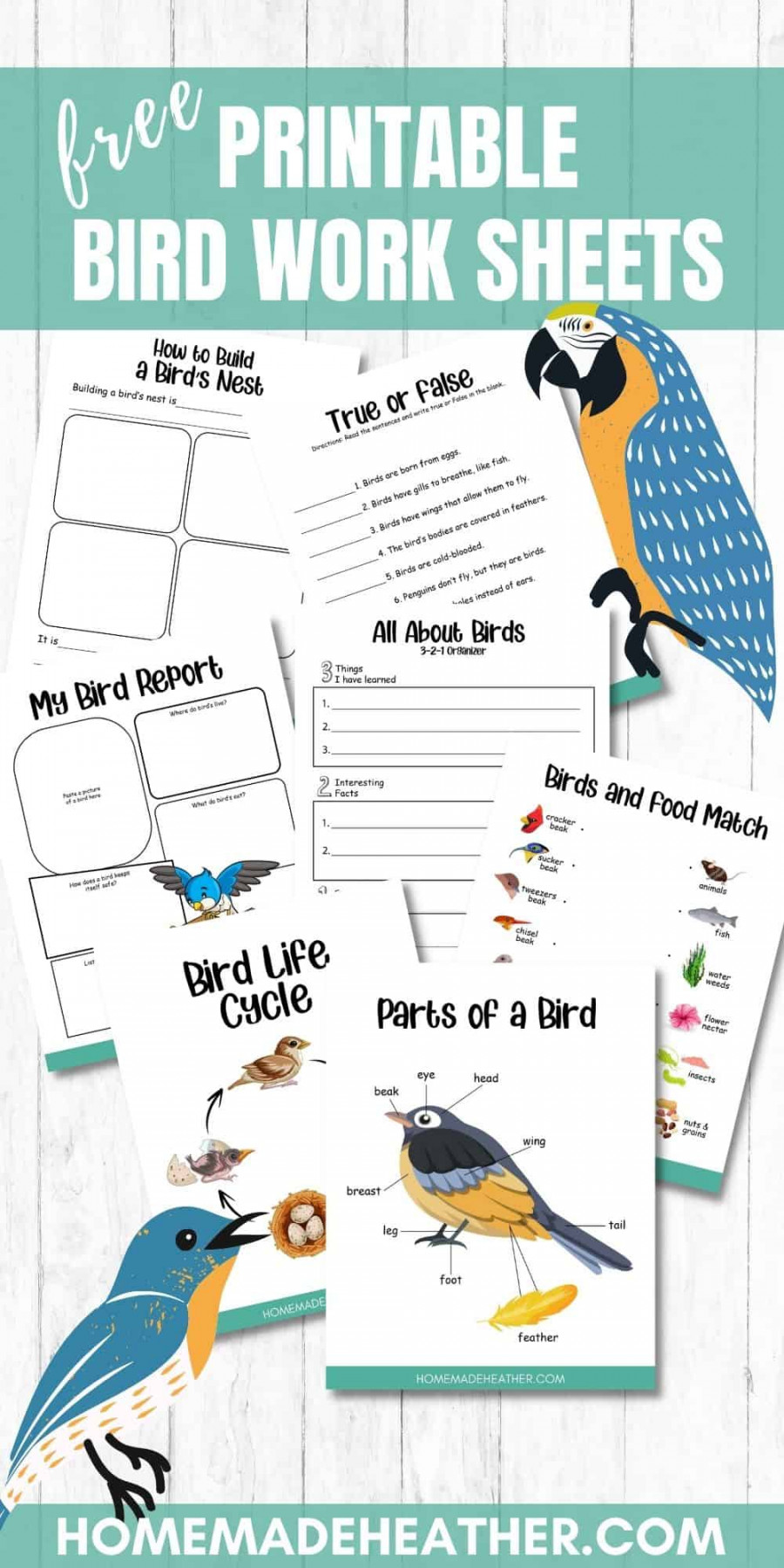 Free Bird Printable Work Sheets » Homemade Heather