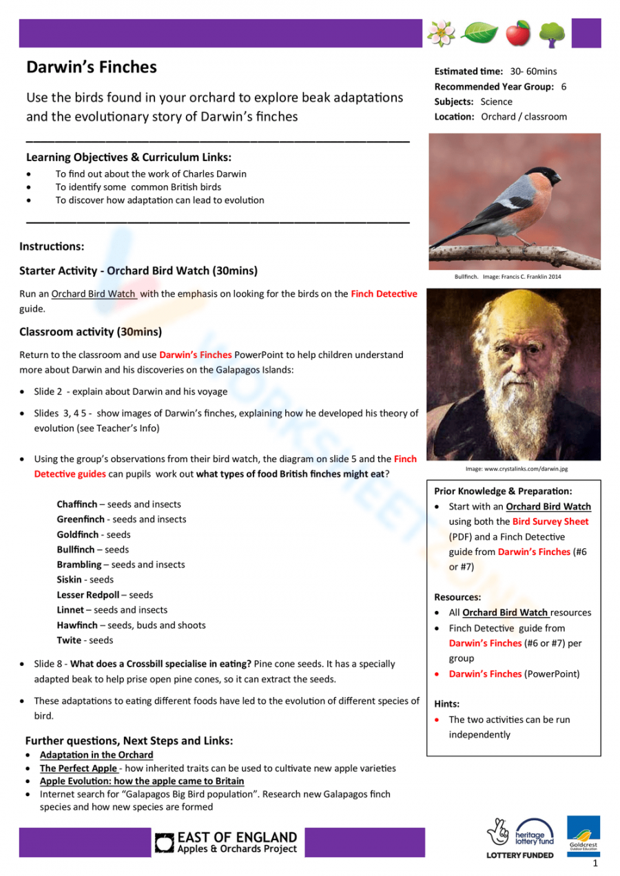 Free Collection of Darwin