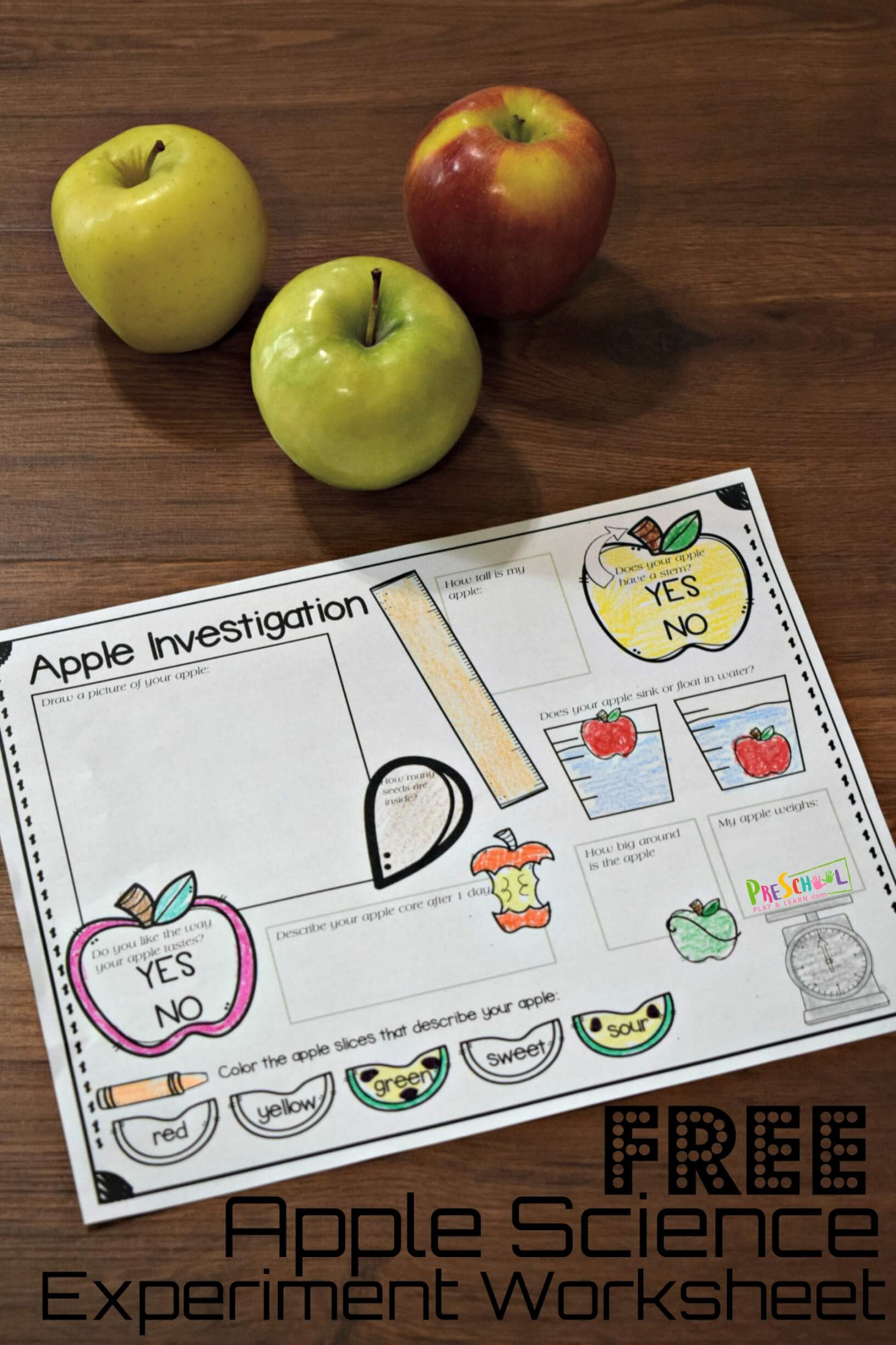 🍎 FREE Printable Apple Science Experiment Worksheet