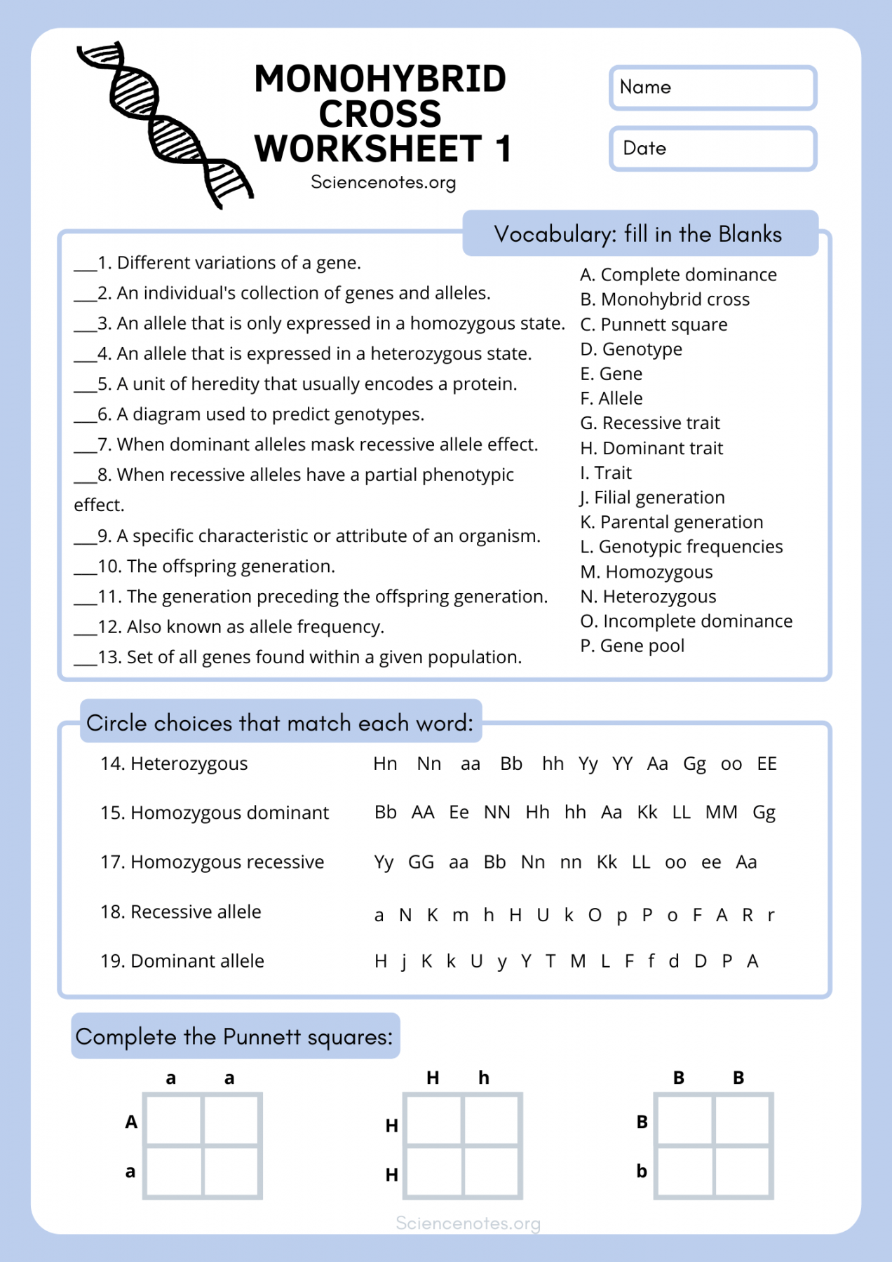 Genetics Worksheets and Printables