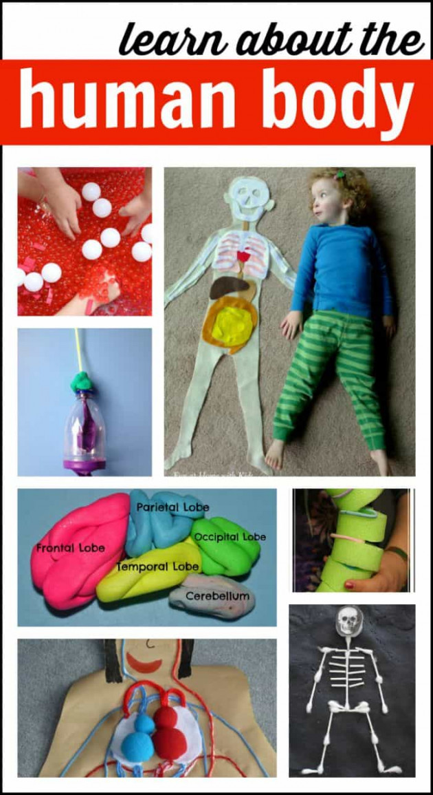 Human Body Activities for Kids - I Can Teach My Child!