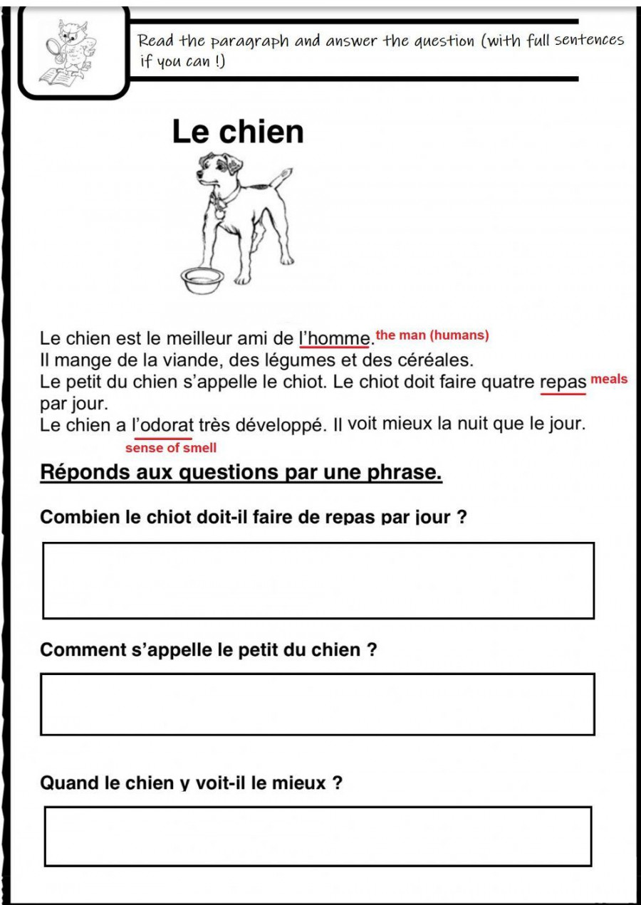 Lecture comprehension-reading C (French) activity  Live Worksheets