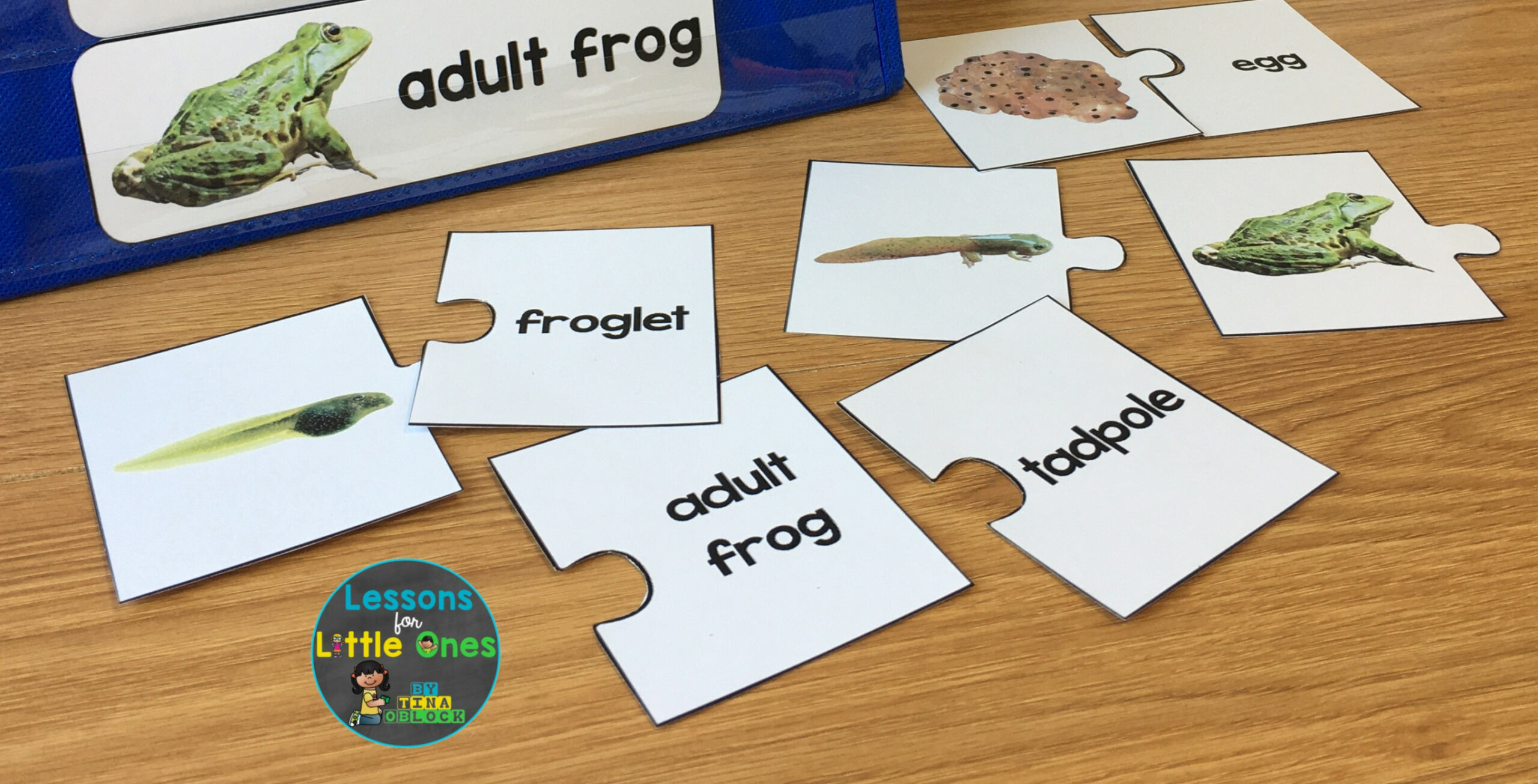 Life Cycle (Butterfly, Frog, Chicken, Plant) Teaching Ideas Plus