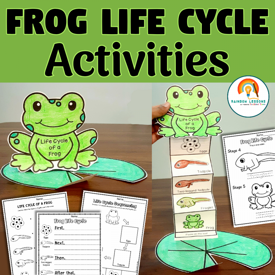 Life Cycle Of Frog Activities  Frog Life Cycle Craft  Kindergarten  Science  Science Projects