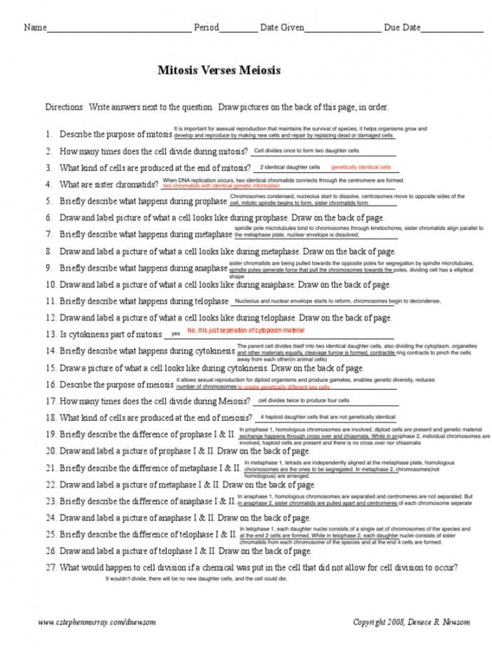 Mitosis Meiosis Compared  PDF  Meiosis  Mitosis