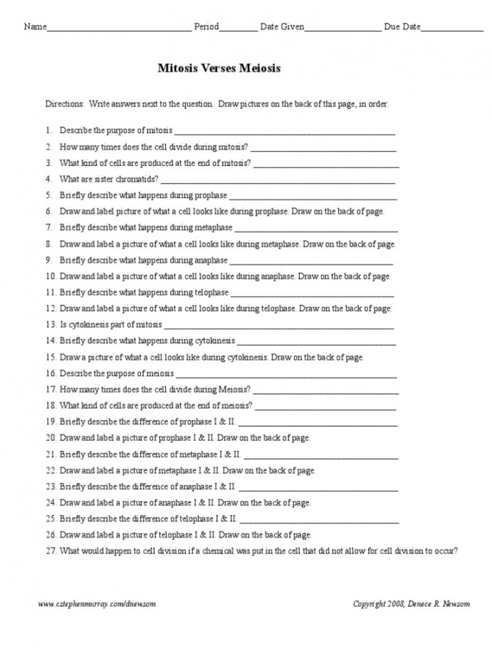 Mitosis Meiosis Worksheet  PDF  Meiosis  Mitosis