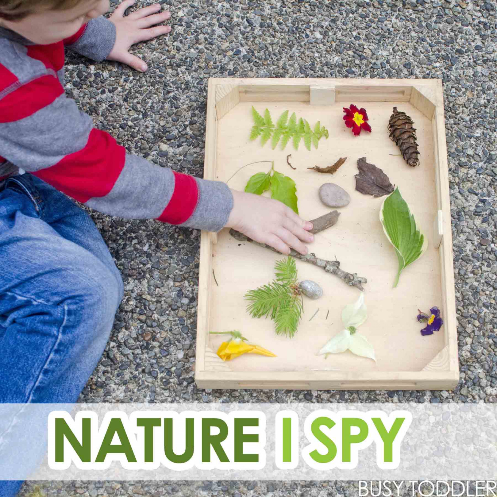 Nature I-Spy with Toddlers - Busy Toddler