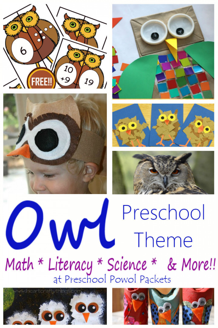 Owl Activities for a Owl Preschool Theme  Preschool Powol Packets