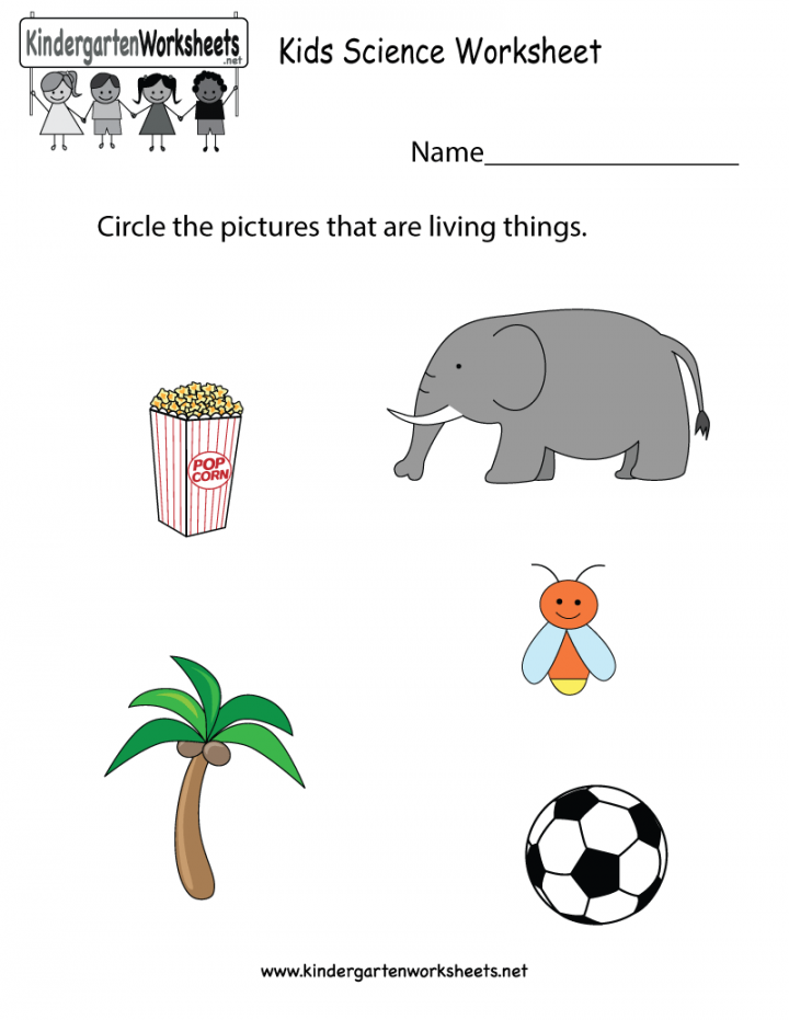 Pin on Science Worksheets and More!