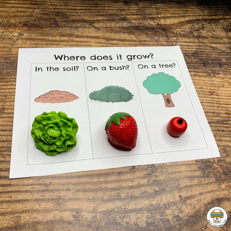 Preschool Growing Fruits and Vegetables Lesson Planning Ideas